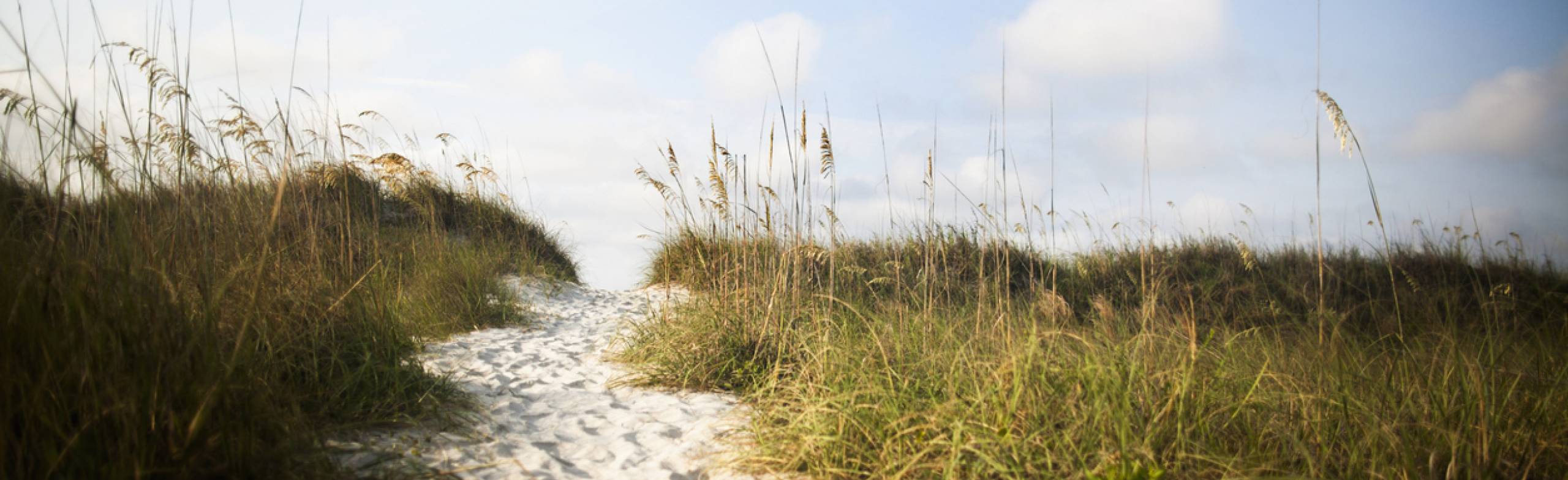 TOP 5 REASONS WHY HILTON HEAD ISLAND IS THE ISLAND TO INVEST IN. Blog Post