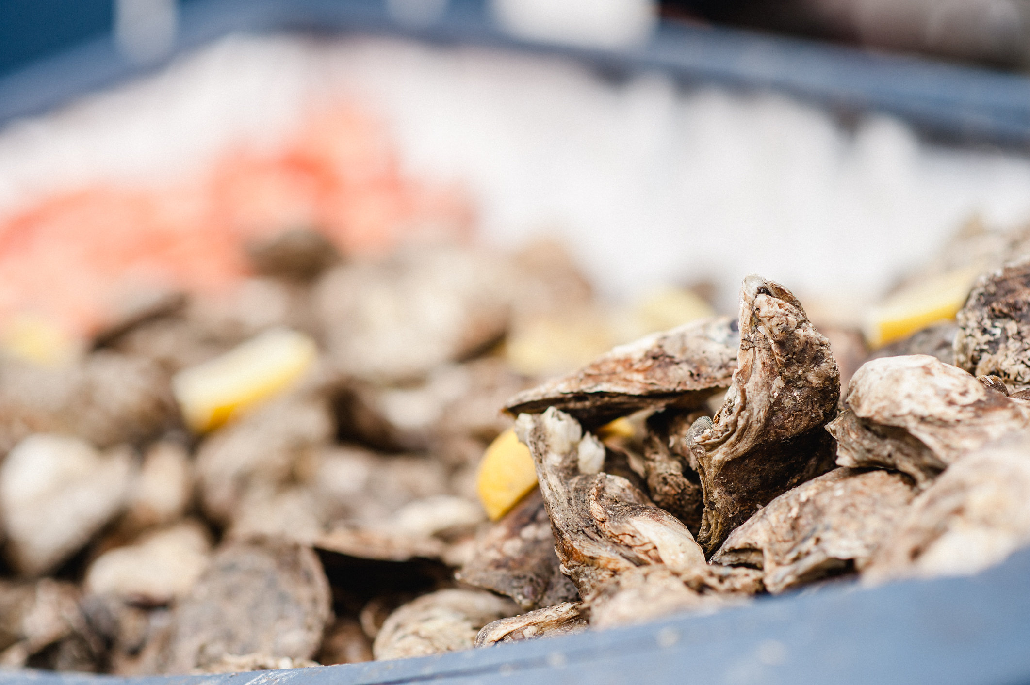 HILTON HEAD ISLAND OYSTER FESTIVAL Event